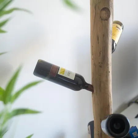 Ribeira Dilhas Appartement