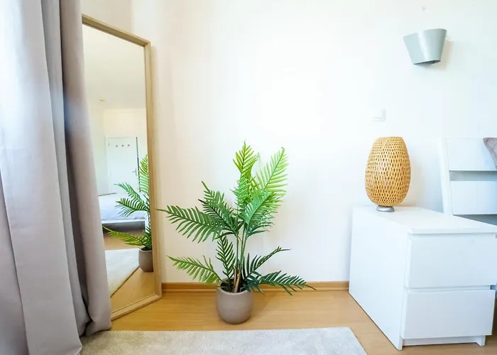 Apartamento Ribeira Dilhas *